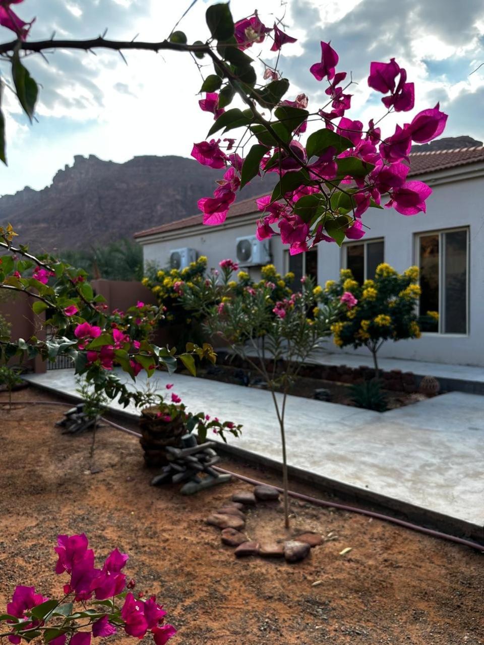 فيلا بمزرعة Al Ula Exterior foto